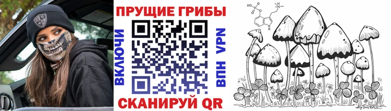 Купить где  Елизаветинская  Псилоцибиновые грибы Cubensis 